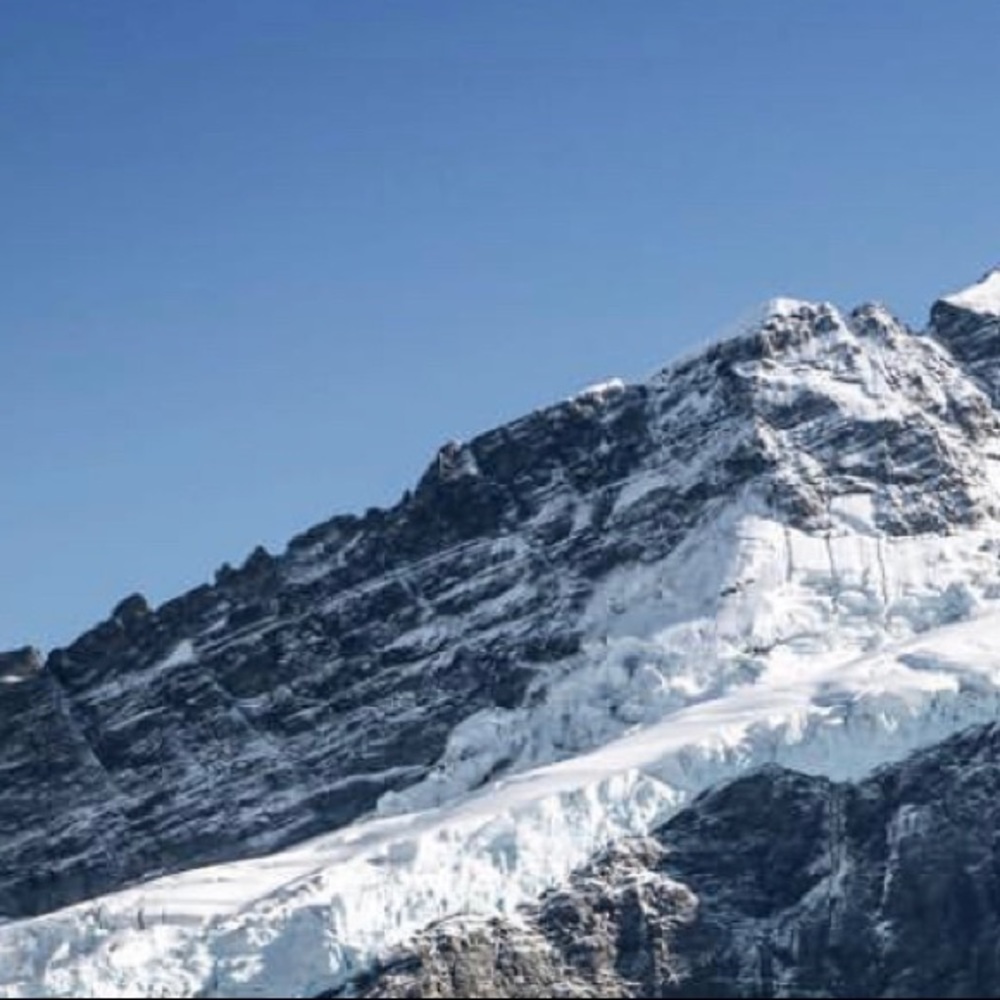 Meet your Posher, Jacey